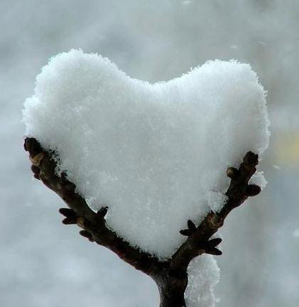 neve coracao