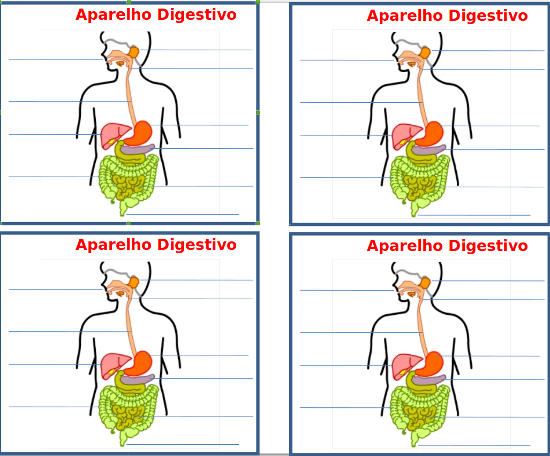 aparelhodigestivo